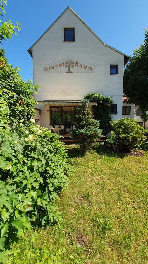 Mini-hôtel Gruener Baum 3*