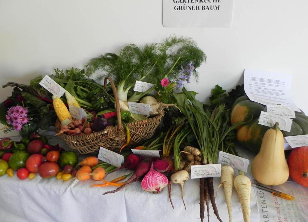 Gruener Baum Kirchberg am Wechsel