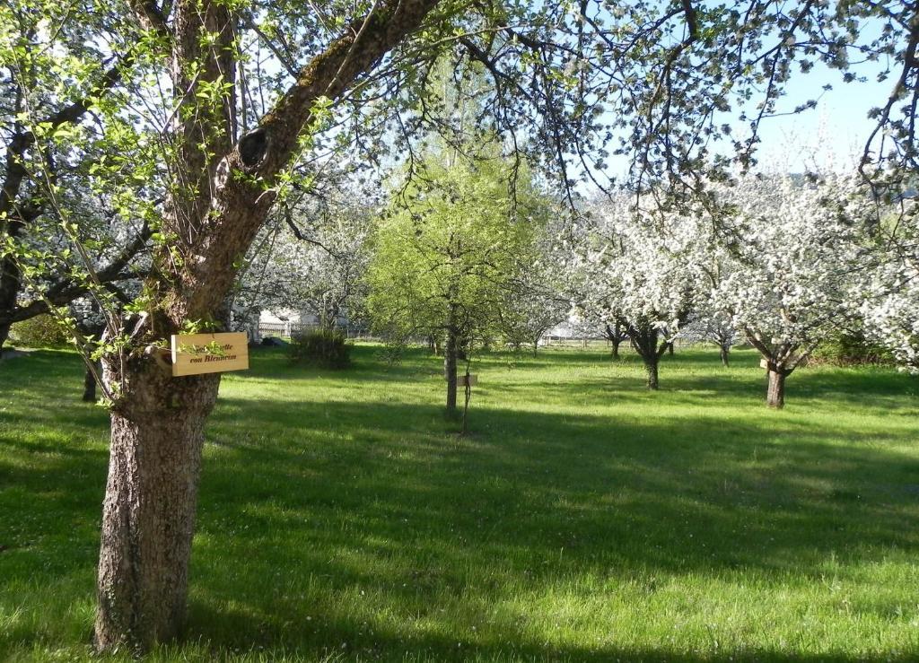 Gruener Baum 3* Kirchberg am Wechsel
