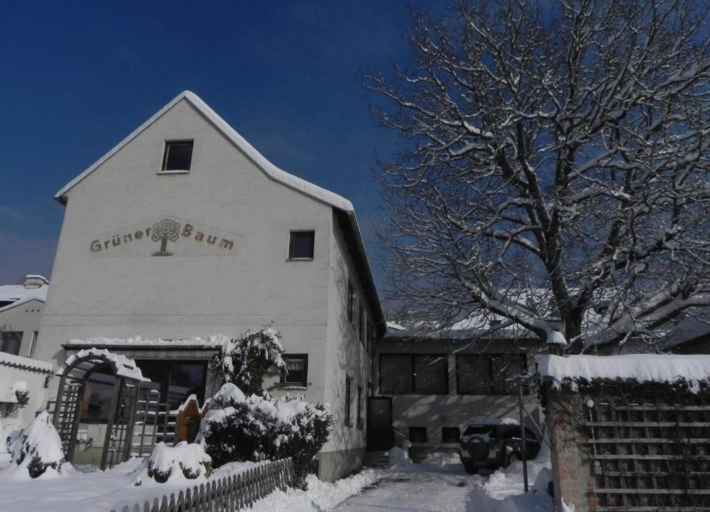 Gruener Baum 3*
