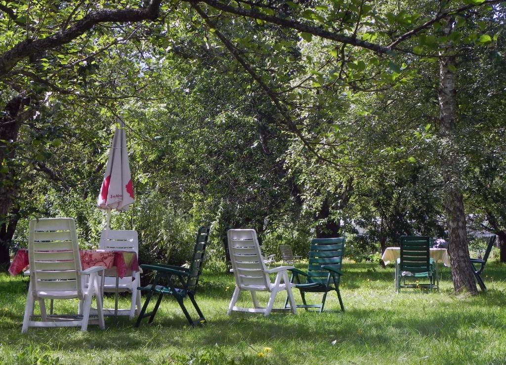 Gruener Baum Mini-hôtel 3*